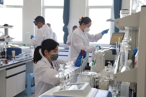 省生態(tài)環(huán)境監(jiān)測(cè)專業(yè)技術(shù)人員大比武成功舉行，央廣網(wǎng)提供網(wǎng)絡(luò)技術(shù)支持服務(wù)